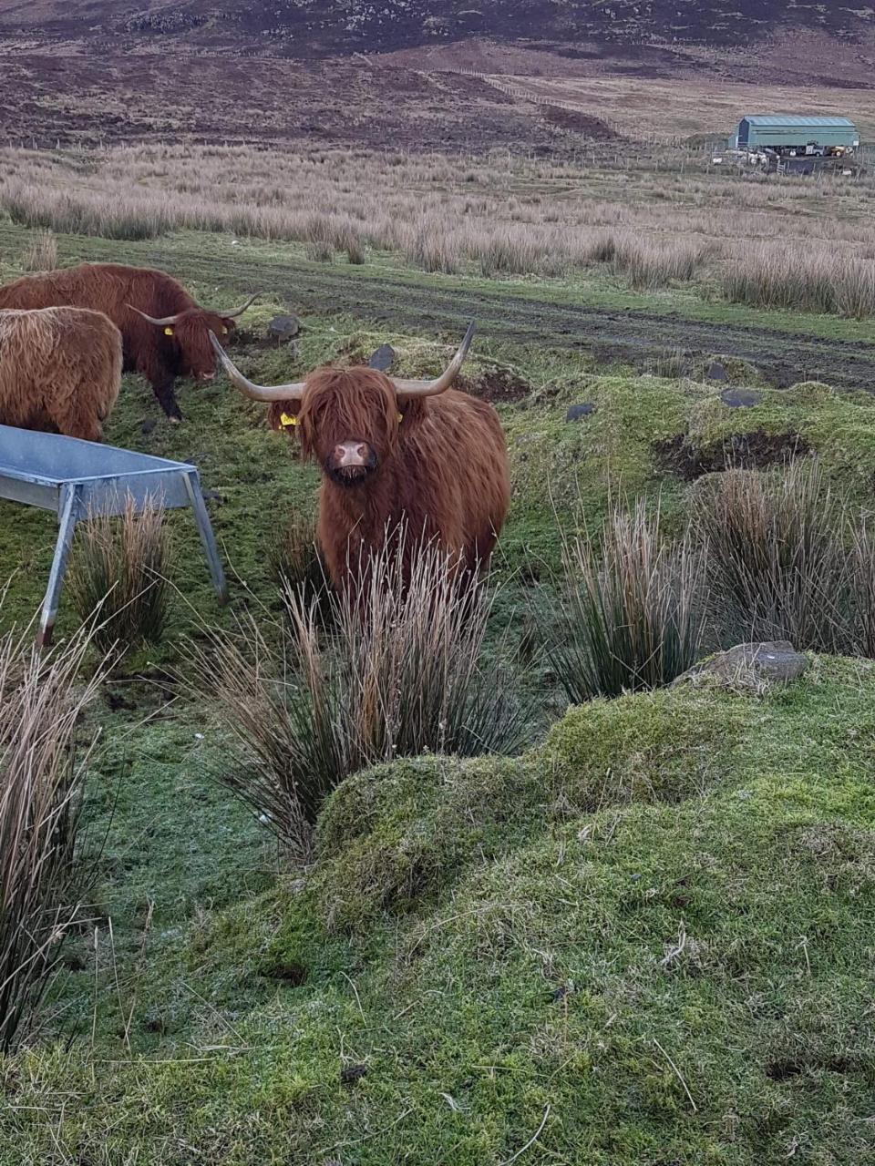 Trotternish B&B Kingsburgh 외부 사진